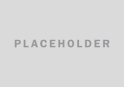 placeholder