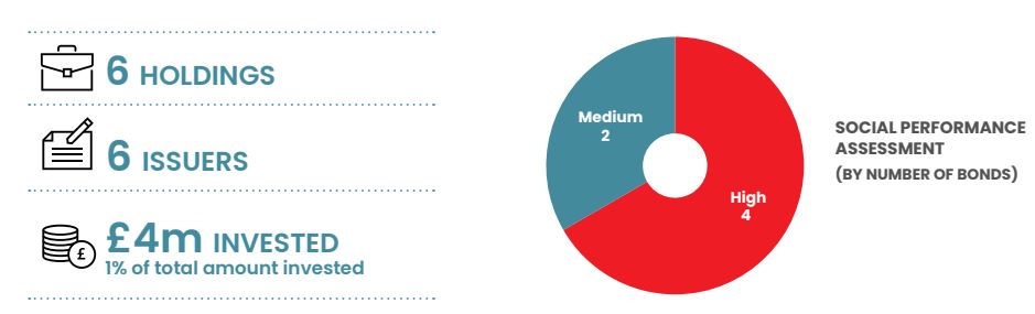 CT UK Social Bond Fund - chart stats on learning education and skills