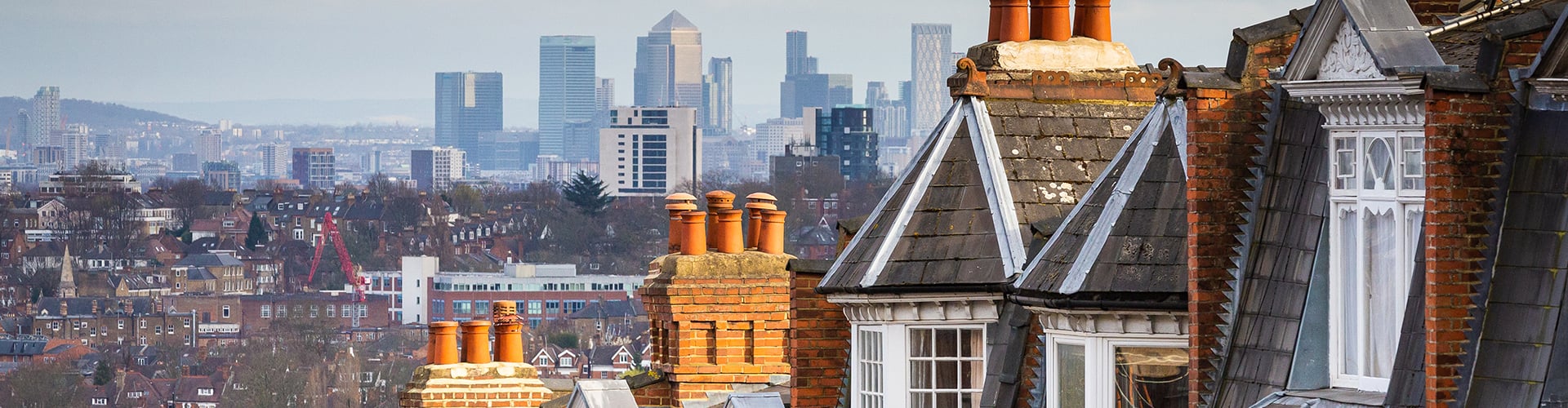 Roof tops with city skyline