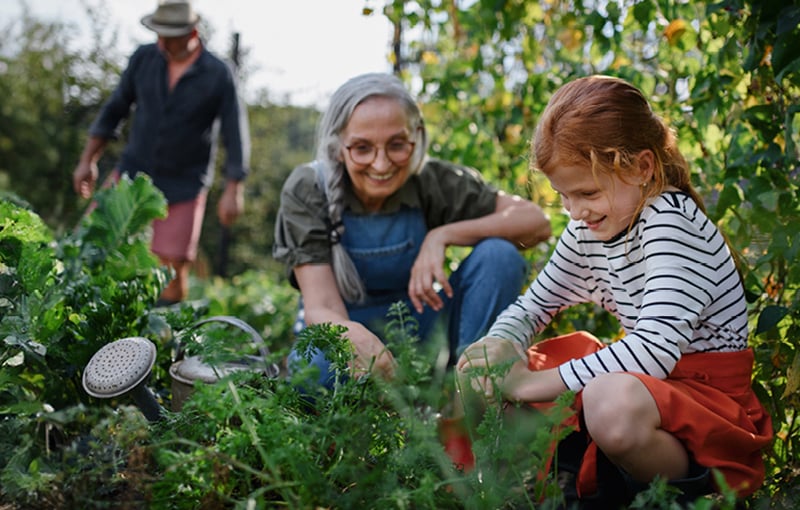 Man, woman and girl watering plants outside