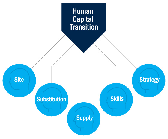Figure one the Five S framework of human capital