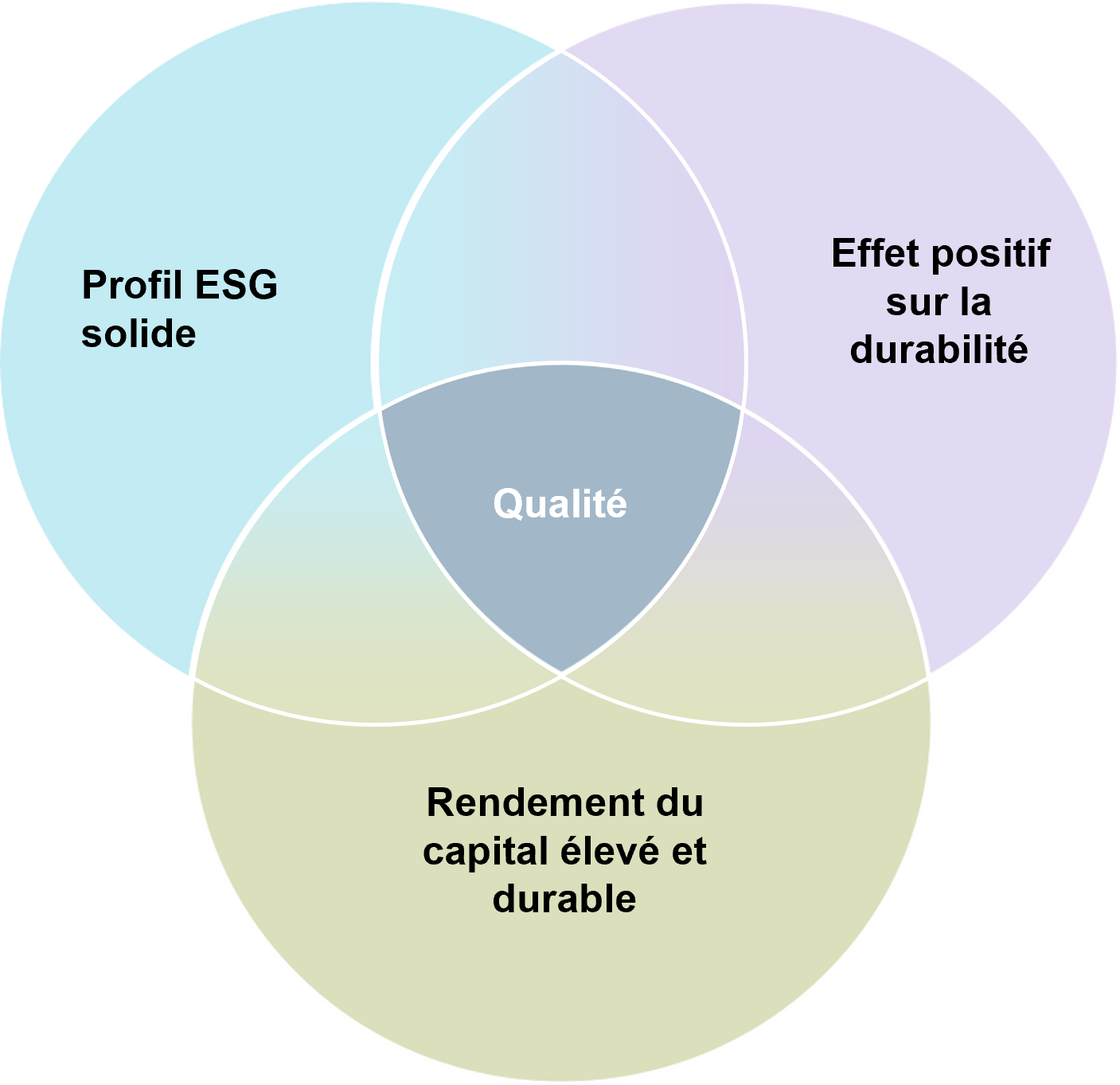 Graphic showing investment philosophy for CT (Lux) Sustainable Outcomes Global Equity