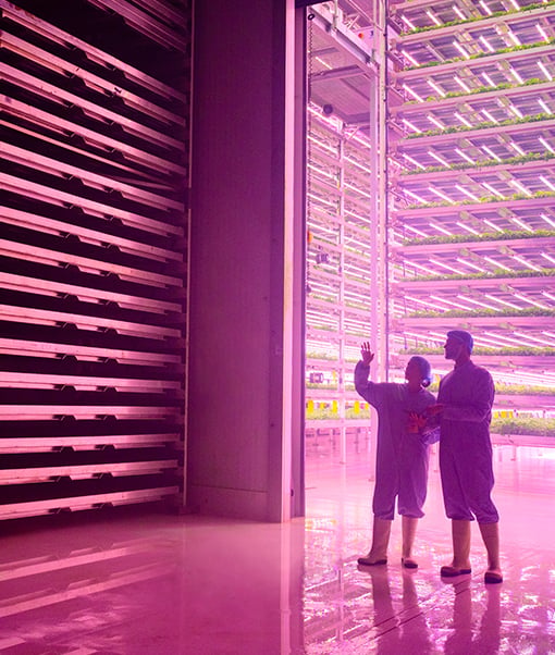 Two people in lab clothes under artificial pink lighting