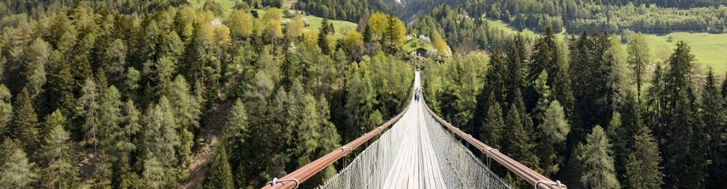 People crossing rope bridge through forest