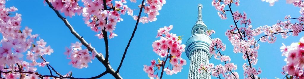 Tokyo sky tree